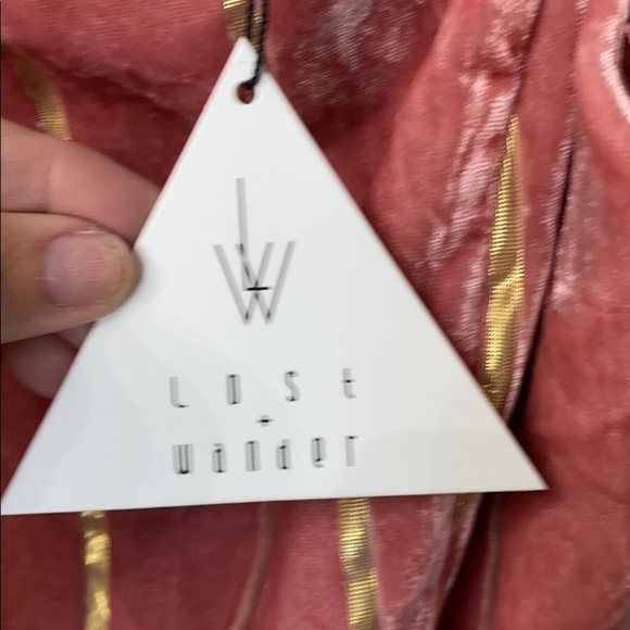 Lost+Wander pink and gold striped velvet dress M. - Picture 7 of 12